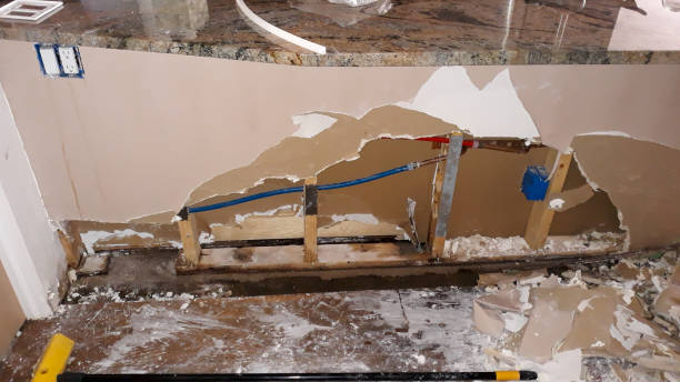 Best Carpet water damage restoration  in Metuchen, NJ