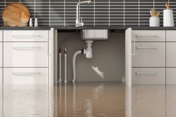 Best Sewage cleanup and water damage restoration  in Metuchen, NJ